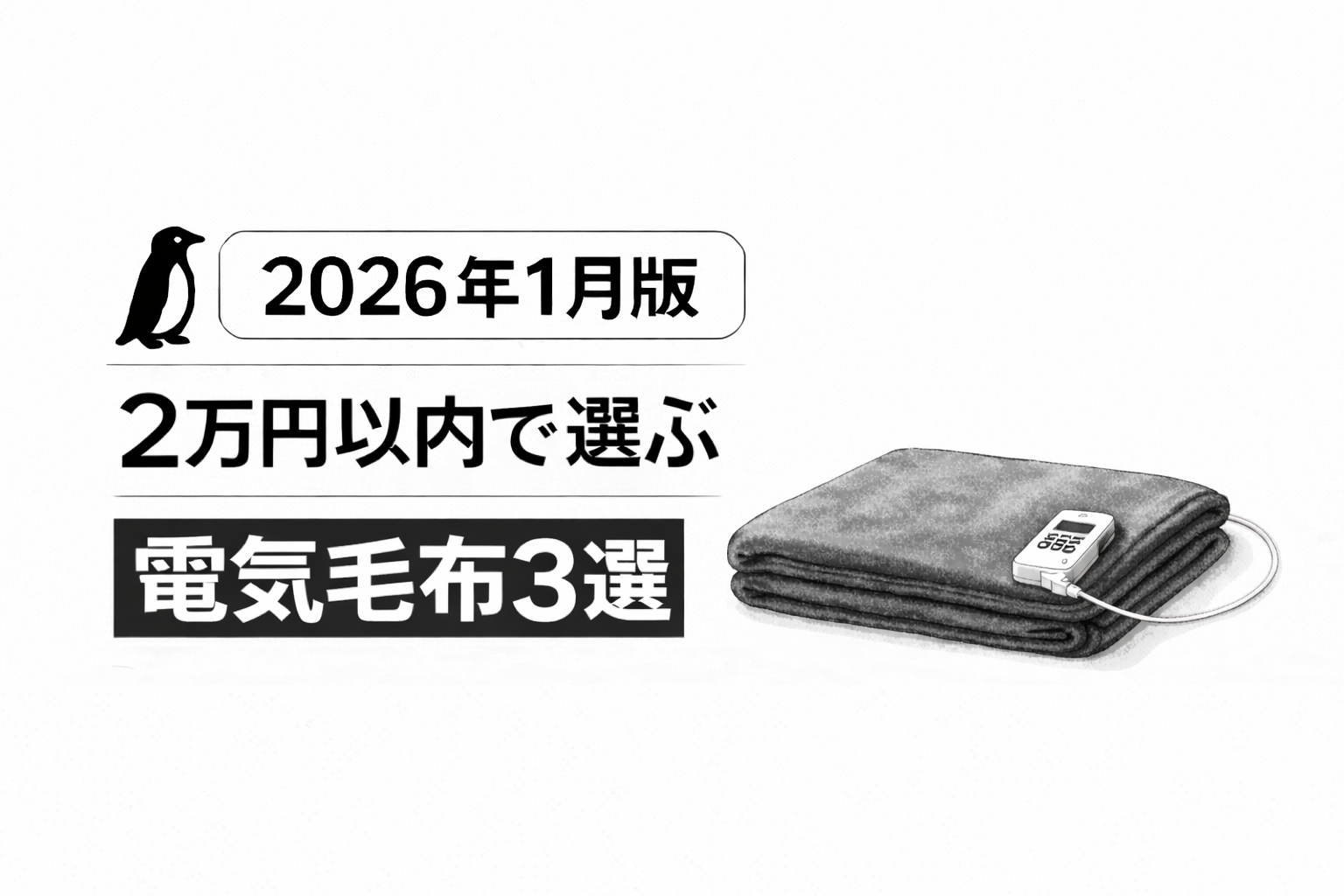 【2026年1月版】2万円以内で選ぶ｜おすすめ電気毛布3選