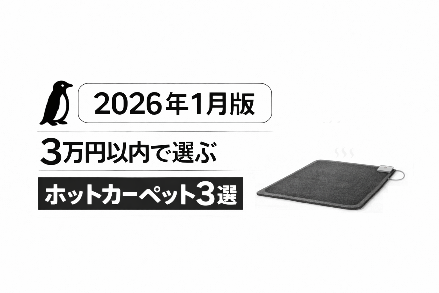 【2026年1月版】3万円以内で選ぶ｜おすすめホットカーペット3選