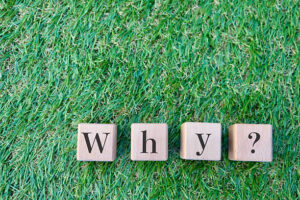 一人暮らしで空気清浄機が迷いやすい理由