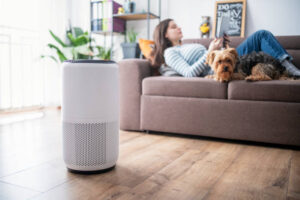 【2026年5月】人気モデルを比較｜おしゃれな加湿器